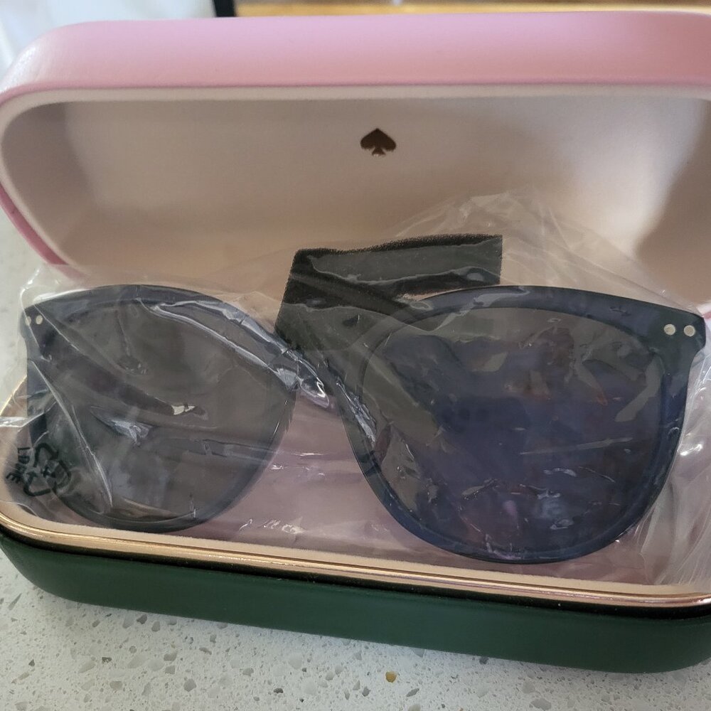 Kate Spade Alina Translucent Blue Sunglasses